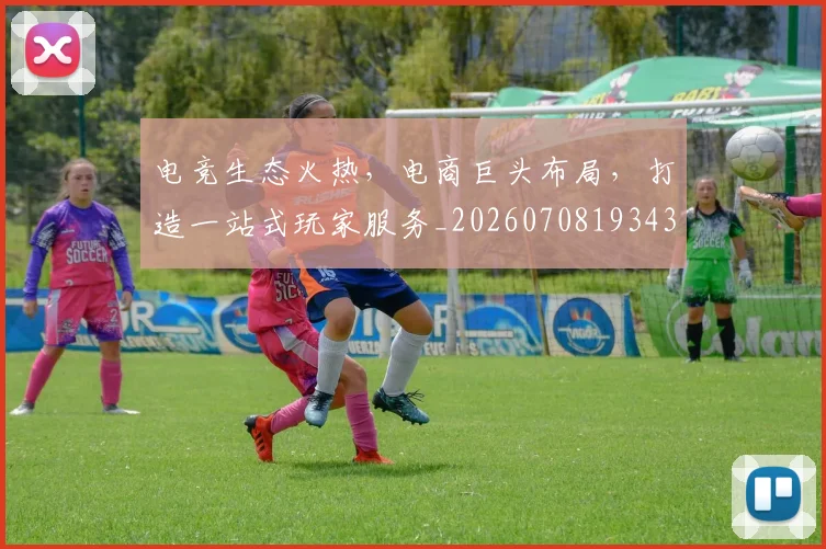 电竞生态火热,电商巨头布局,打造一站式玩家服务_20260708193437